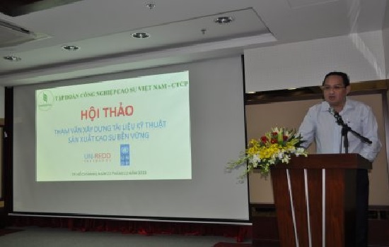 Phát triển cao su bền vững là xu hướng tất yếu